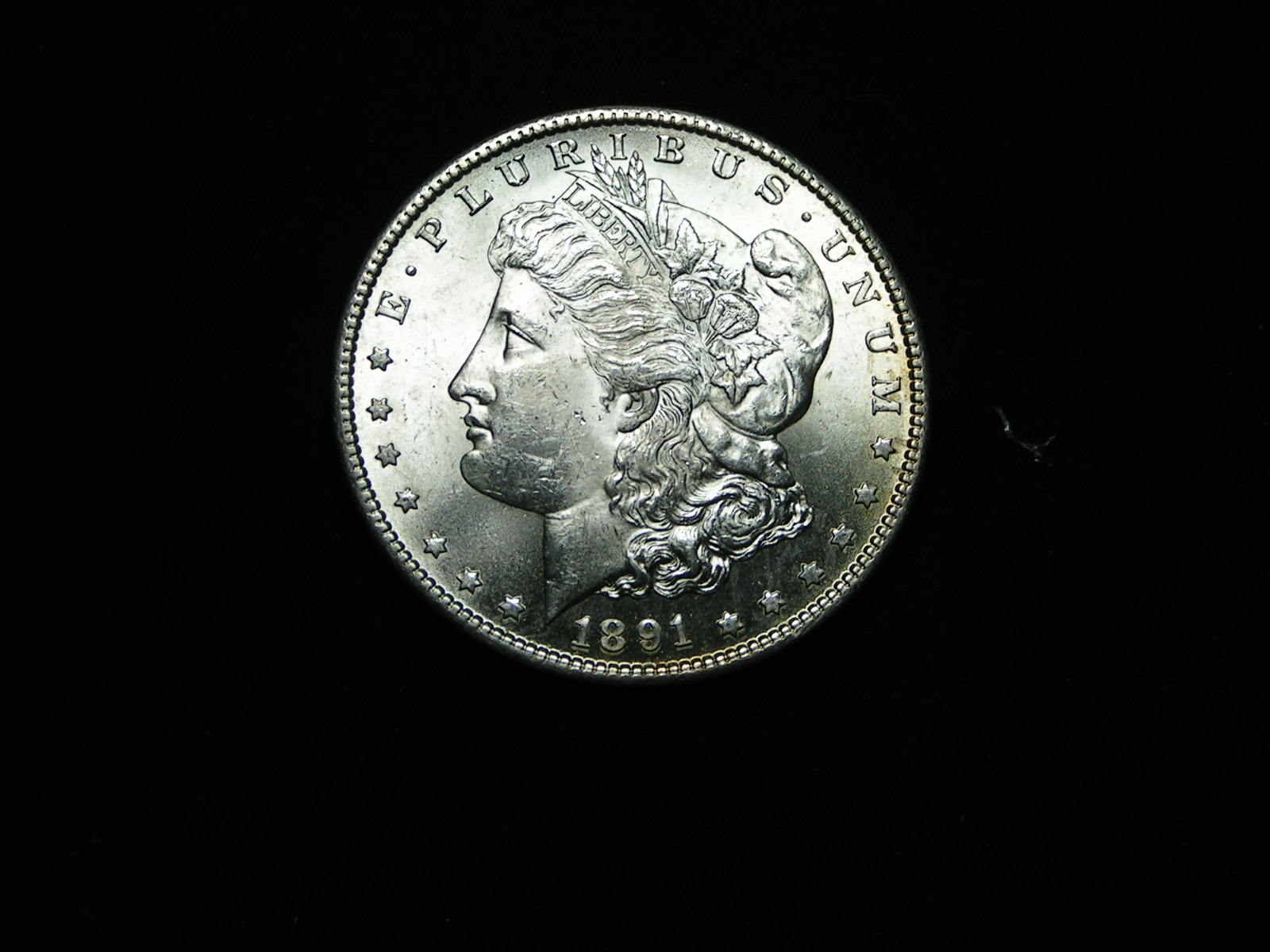 1891-S-Morgan-Dollar-For-Grade-#5