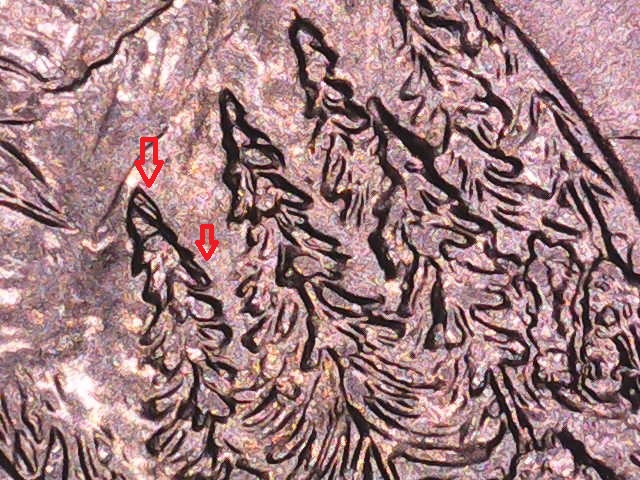 2011-Olympic-National-Park-Quarter
