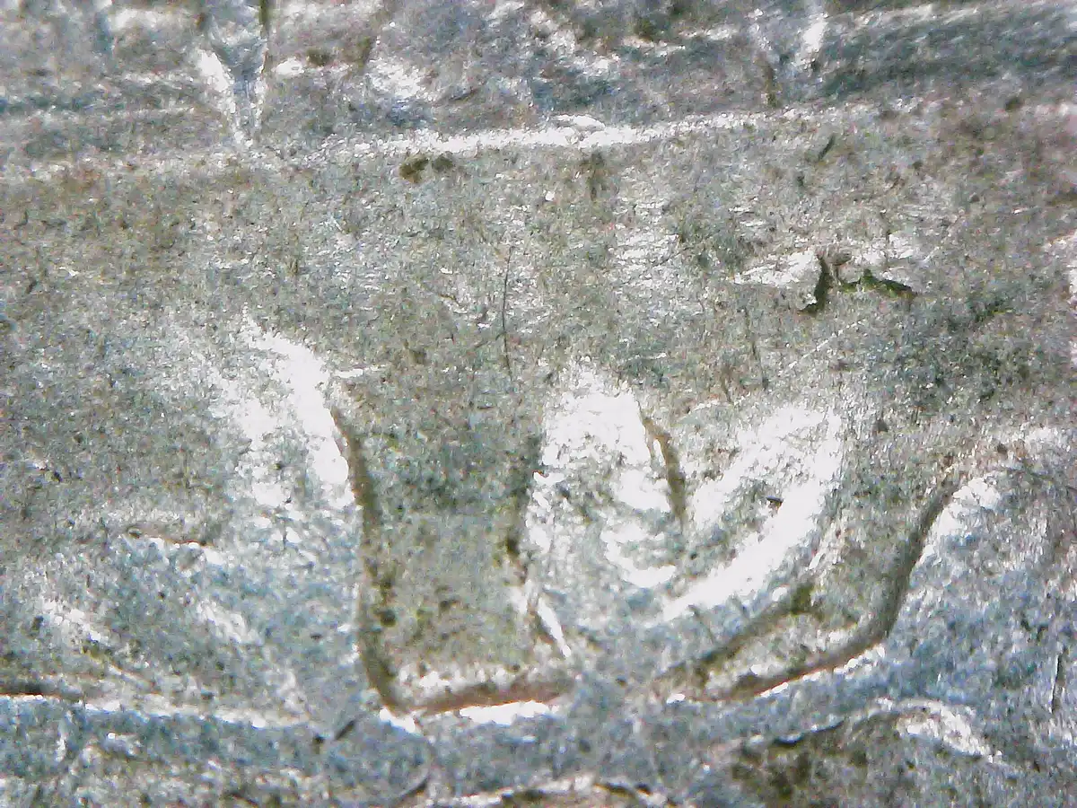 1964-D-Quarter-Reverse-Type?
