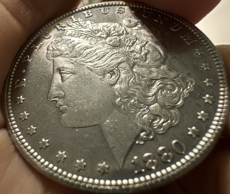 1880-S-Morgan-Dollar,-Die-Crack,-VAM,-And-Grade-Thoughts-Please?