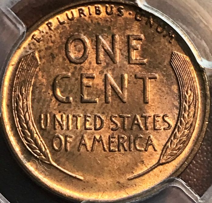 Would-You-Buy-This?-How-Much-Would-You-Pay?