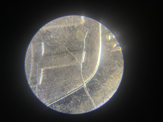 2021-Lincoln-Shield-Cent-Die-Crack?