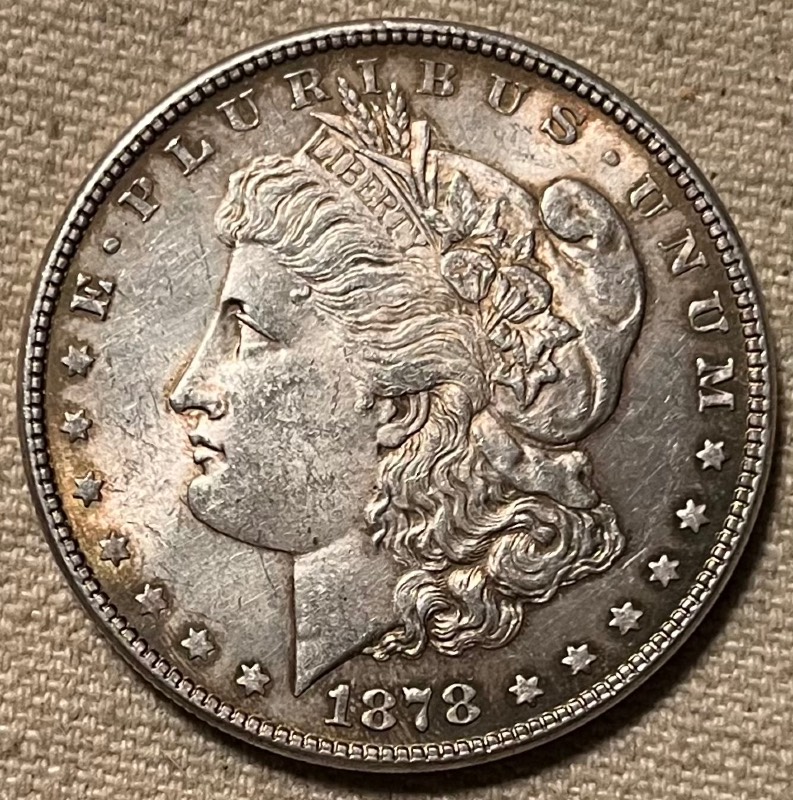 1878-7-Over-8-Tail-Feathers