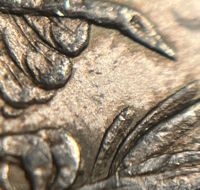 1878-7-Over-8-Tail-Feathers