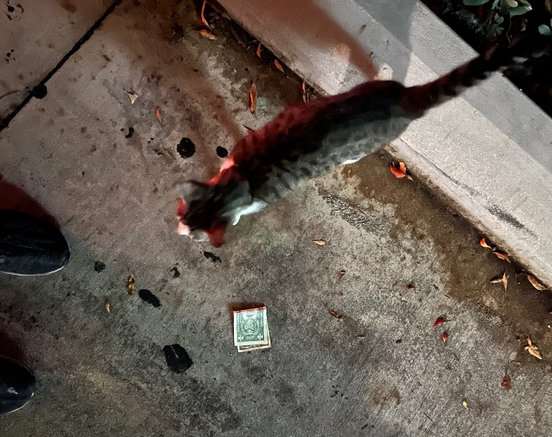 Post-Your-Stories-&-Pix-Of-Found-Money
