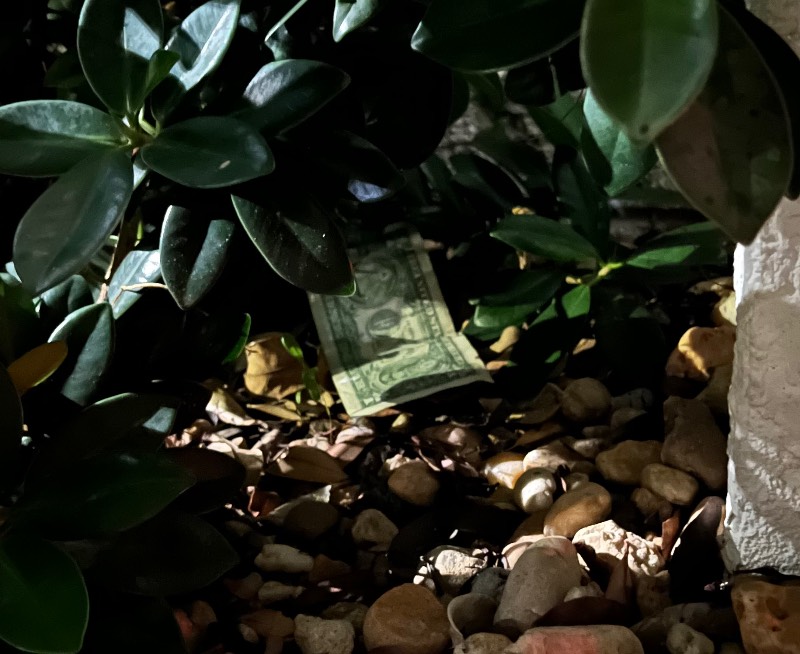Post-Your-Stories-&-Pix-Of-Found-Money