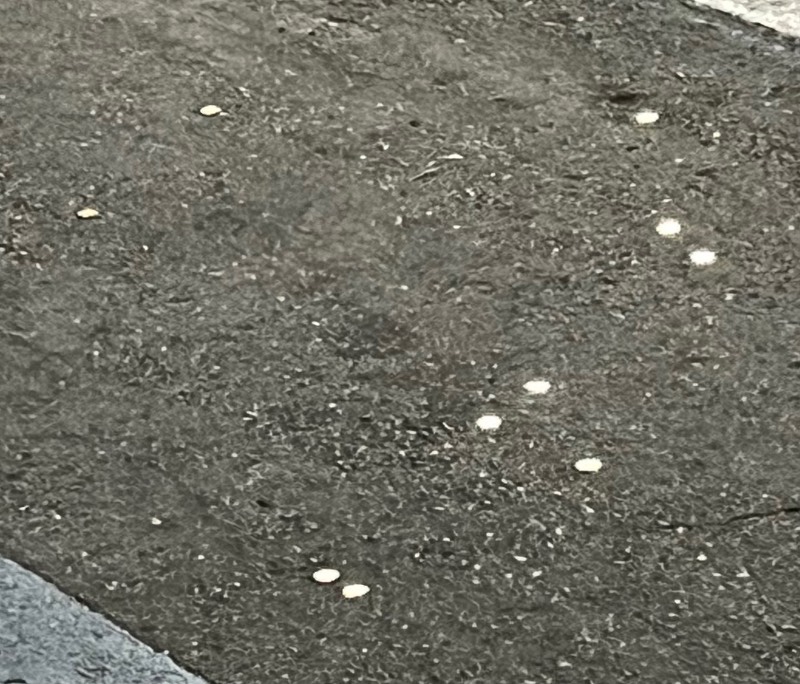Post-Your-Stories-&-Pix-Of-Found-Money