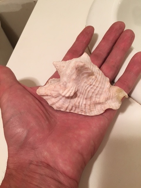 Post-Your-Stories-&-Pix-Of-Found-Money