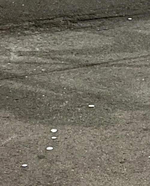 Post-Your-Stories-&-Pix-Of-Found-Money