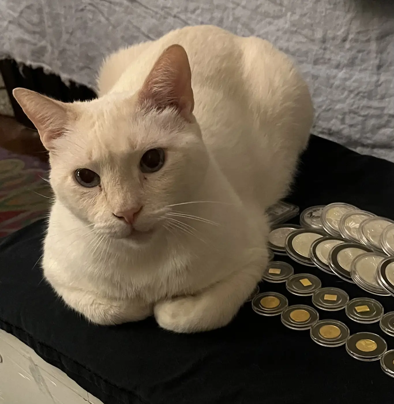 Post-Your-Stories-&-Pix-Of-Found-Money