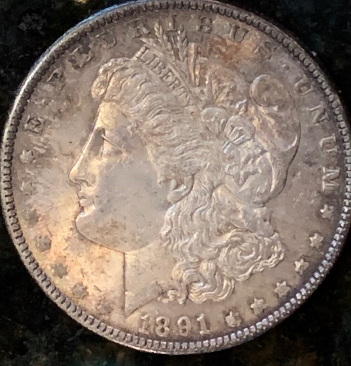 A-Toned-1891-Morgan-Grade?-New-Picture