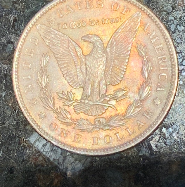 A-Toned-1891-Morgan-Grade?-New-Picture