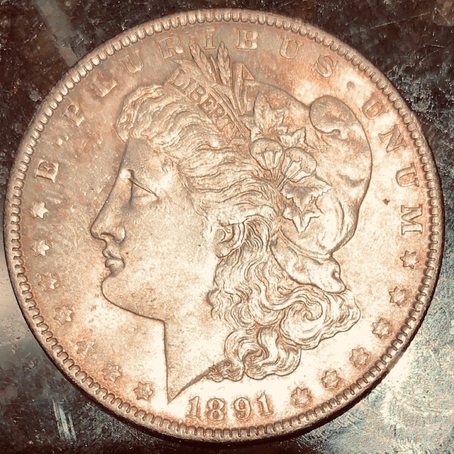 A-Toned-1891-Morgan-Grade?-New-Picture