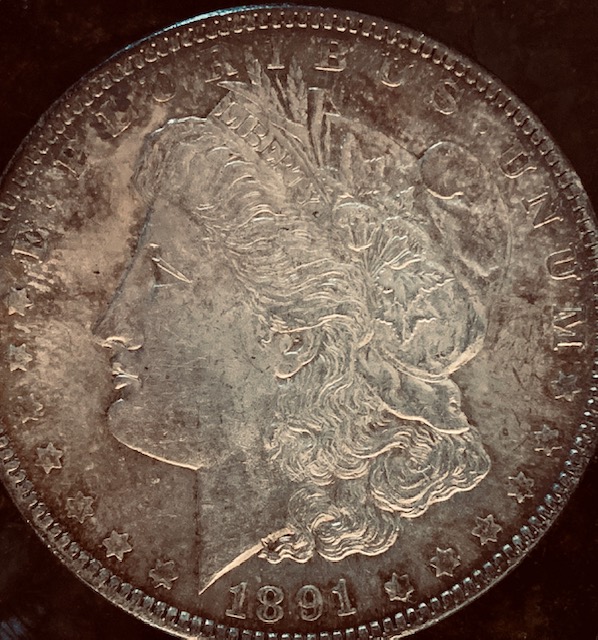 A-Toned-1891-Morgan-Grade?-New-Picture