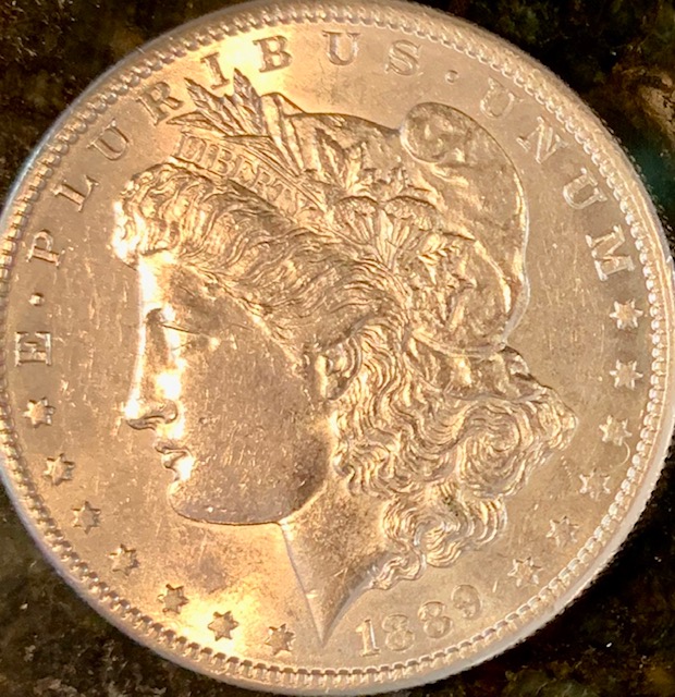 1889-S-Morgan-Grade-Please