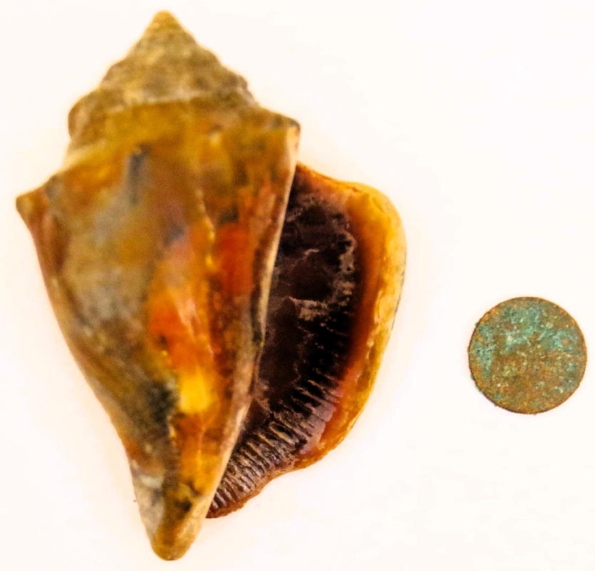 Post-Your-Stories-&-Pix-Of-Found-Money