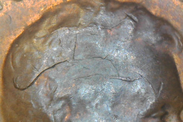 1955-LWC-With-Lamination?