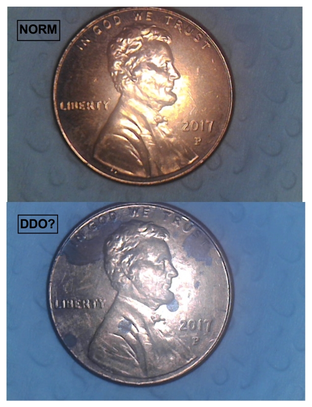 LSC-2017-P-DDO?--Yes-Or-No?