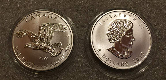 What's-Your-Favorite-Eagle?