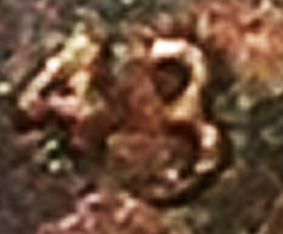 1943-Copper-Lincoln-Cent:-Real-To-You-Or-Fake?