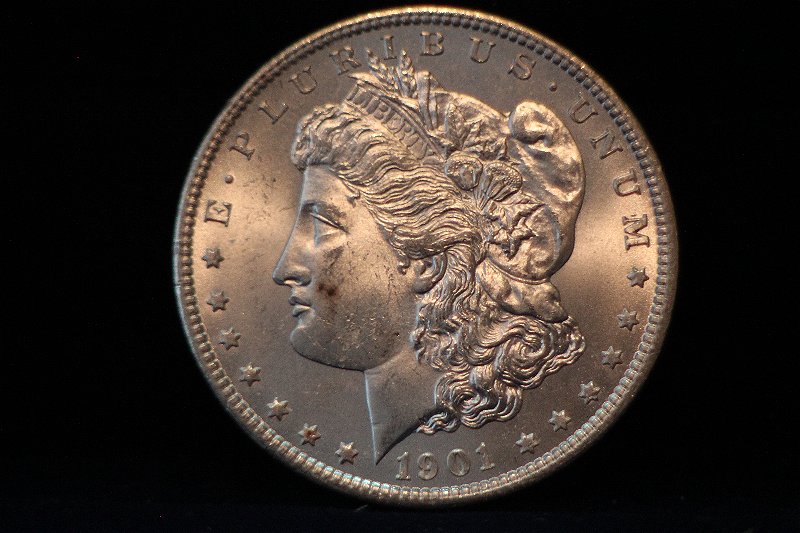 28-Days-Of-The-Morgan-Dollars-Part-5