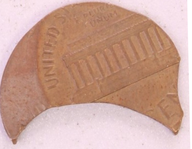 Error-Lincoln-Cent-For-Expert-Opinion