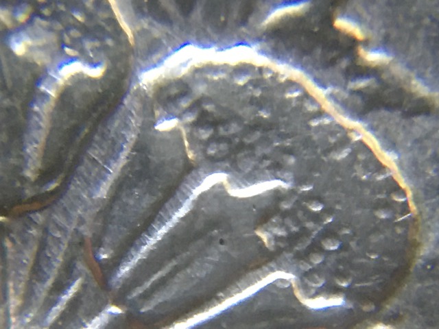 1896--D-Morgan-Dollar-VAM-11