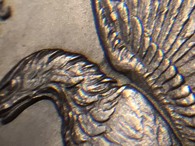 Morgan-Dollar-1900-P-VAM40