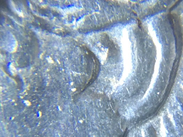 1884-O-Morgan-Dollar-VAM-15