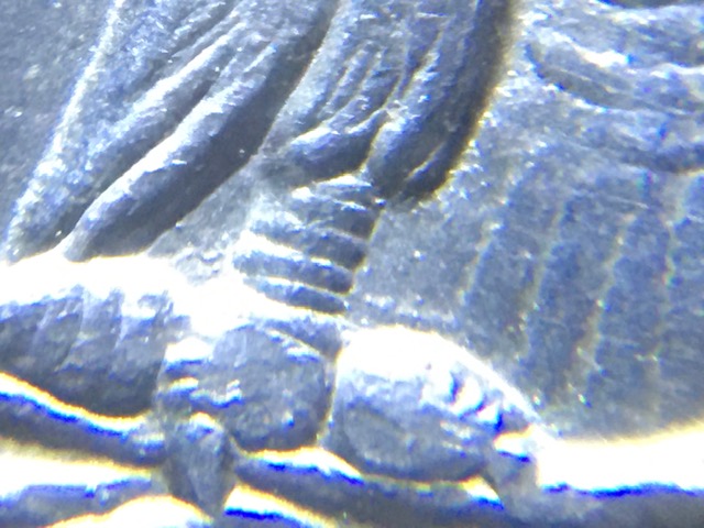 1884-O-Morgan-Dollar-VAM-15