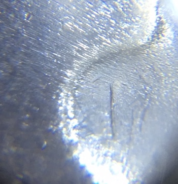 1924-P-Peace-Dollar,-Help!