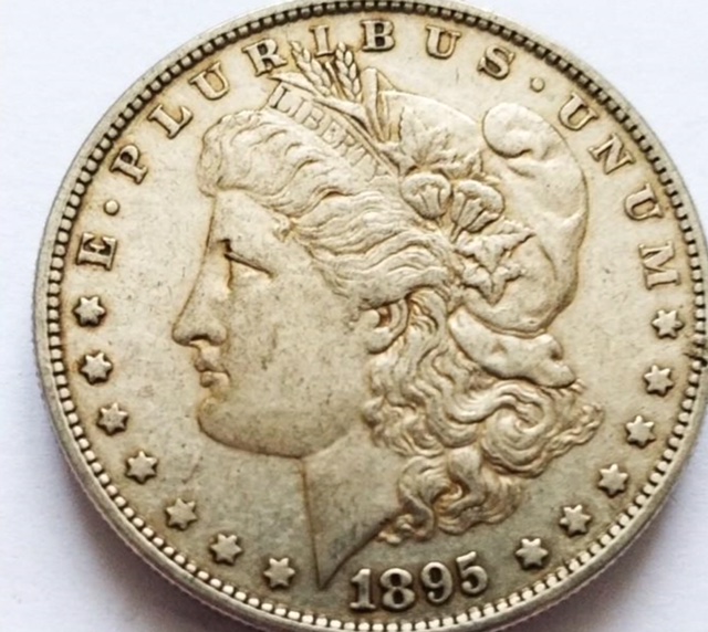 1895-O-Morgan-Dollar.-Real-Or-Fake?-Help