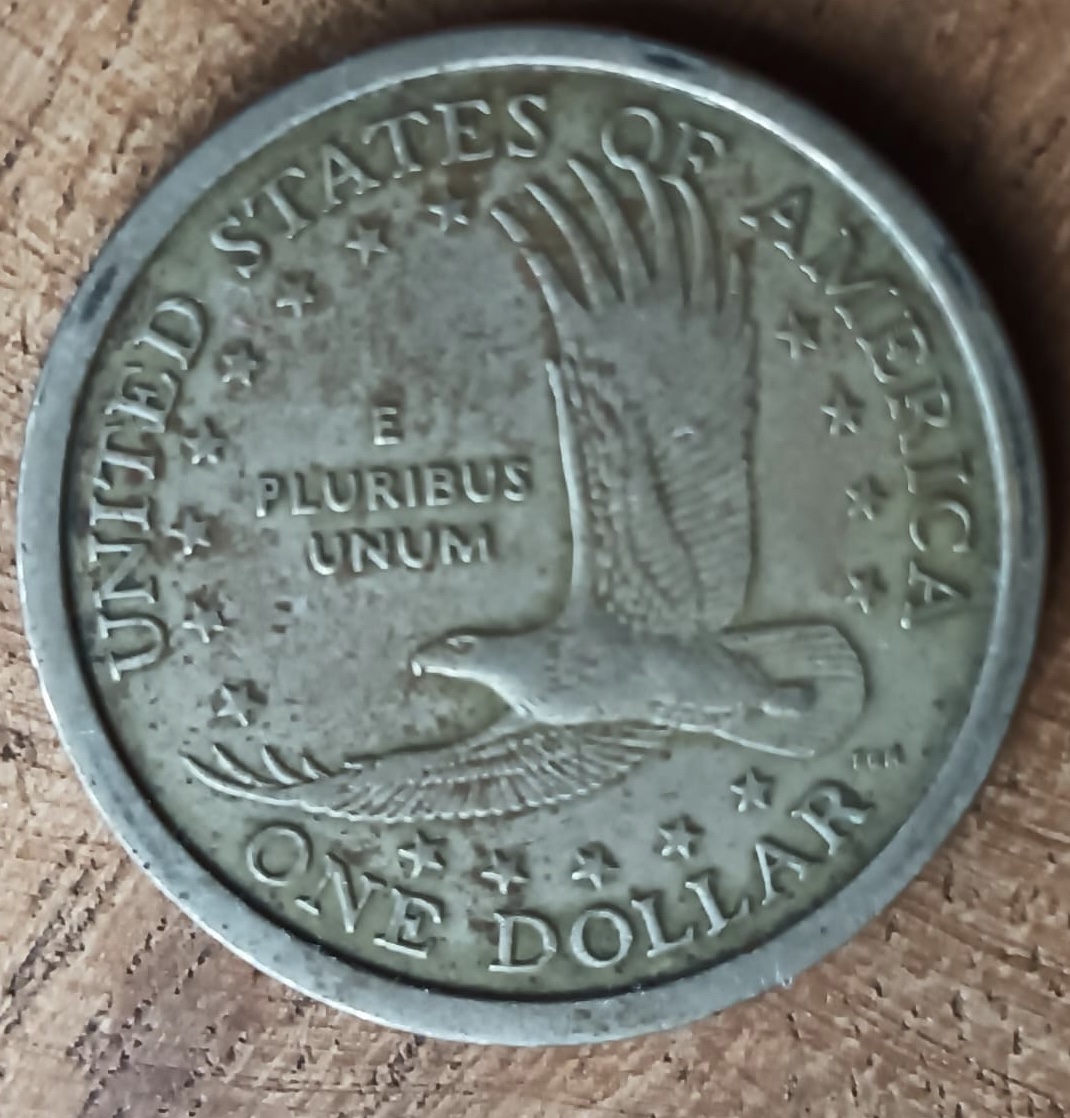 2000-P-Sacagawea-Transition-Error?