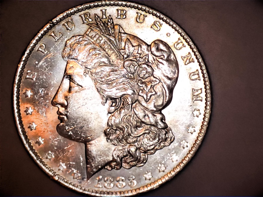 1883-O-Morgan--Grade-Help