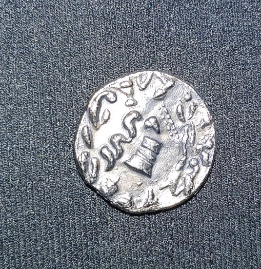 Cistophorus-131-132-BC