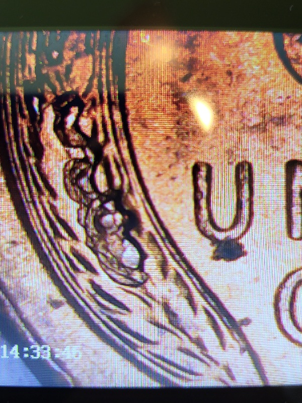 Possible-1953-Wheat-Ear-Error