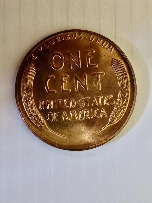 Possible-1953-Wheat-Ear-Error