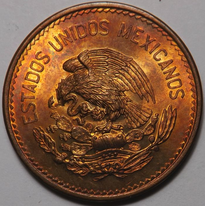 Most-Beautiful-Coin?