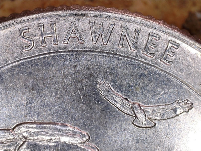 Small-Error-With-These-Modern-Quarters