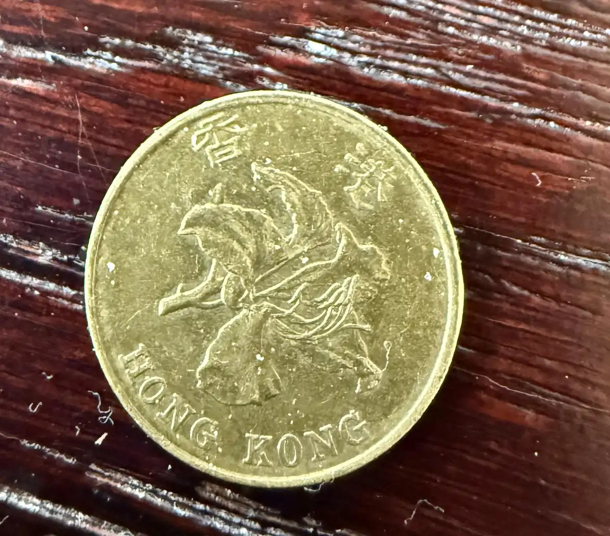 Coinstar-Finds!-Including-Bank-Counters-And-Other-Machines