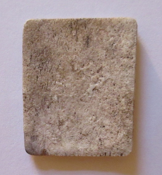 Canada-Whale-Bone-Token?
