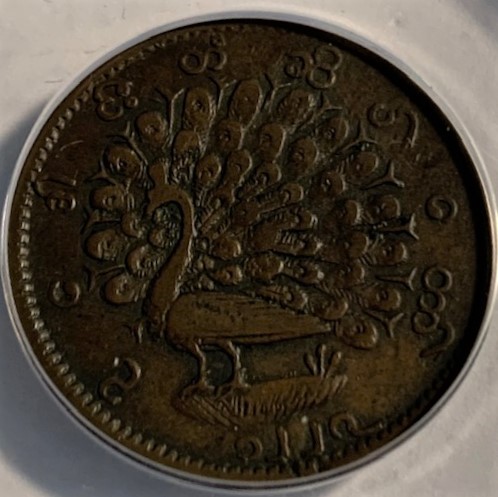 ANACS-Possibly-Under-Graded-Coins