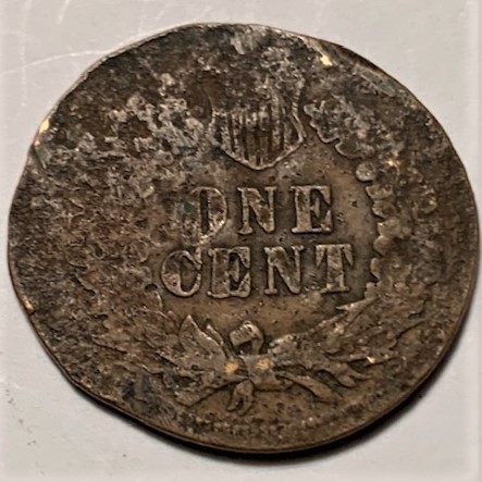 PCGS-Photo-Grade-And-Value-Question