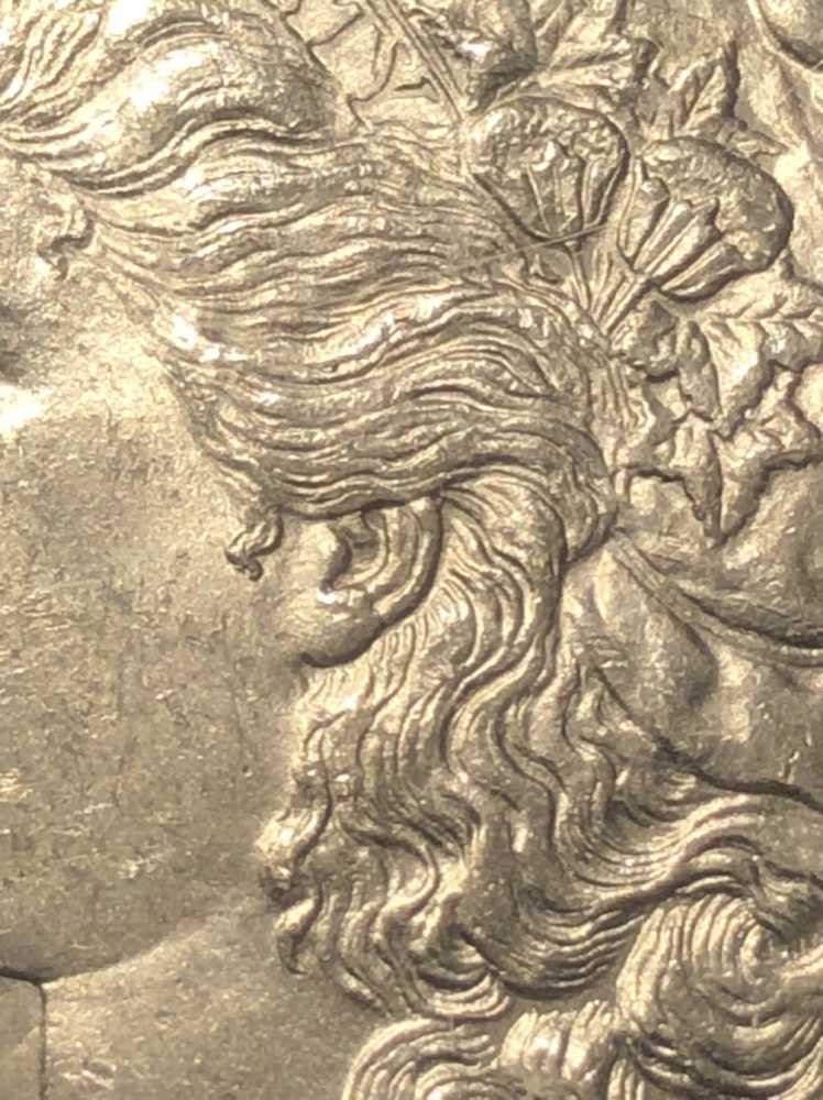1878-S-Morgan-Vam-19A---What's-The-Grade?
