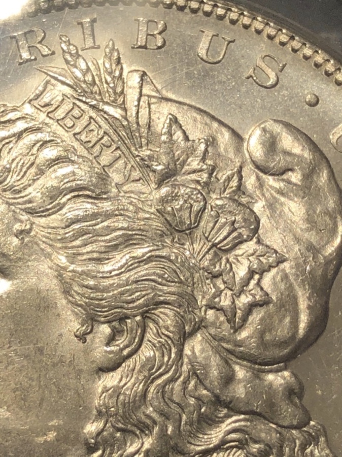 1878-S-Morgan-Vam-19A---What's-The-Grade?