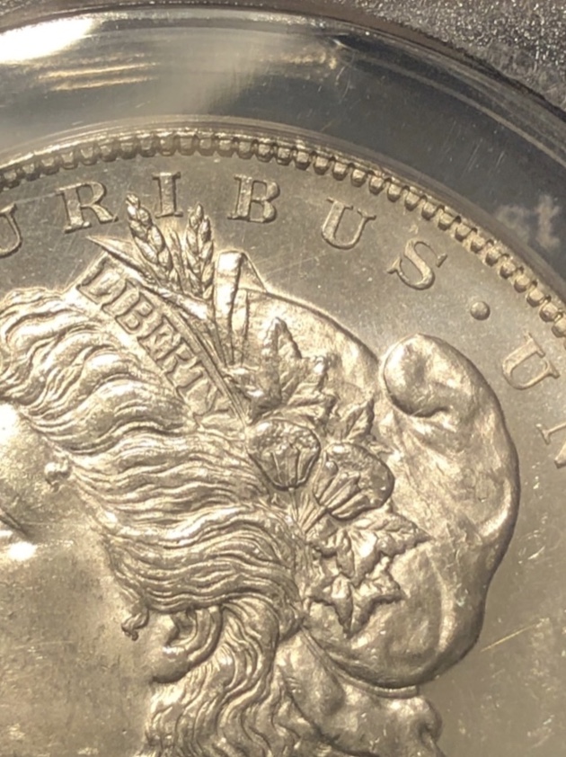 1878-S-Morgan-Vam-19A---What's-The-Grade?