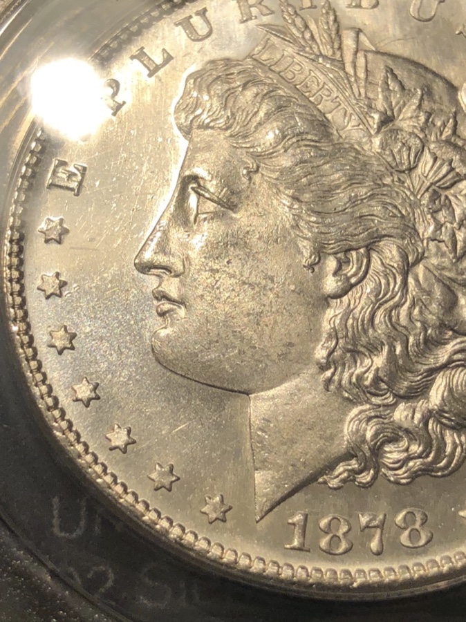 1878-S-Morgan-Vam-19A---What's-The-Grade?