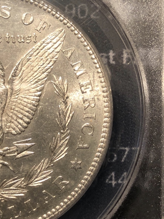 1878-S-Morgan-Vam-19A---What's-The-Grade?