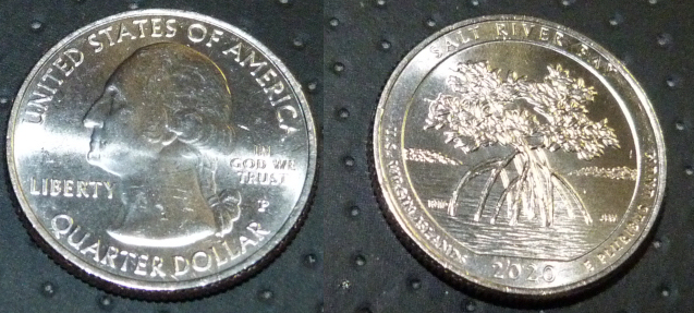 2020-US-Coins-In-Circulation.