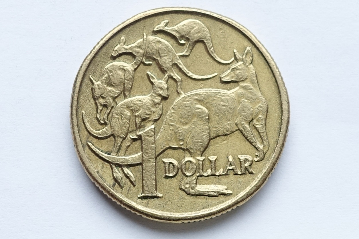 Help-Me-With-This-Error?-Dollar-Coin